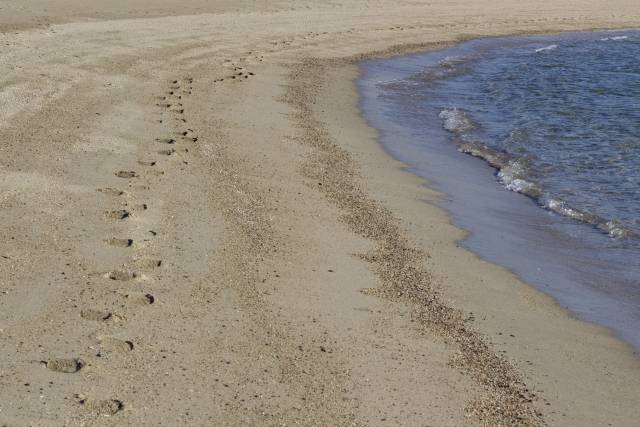 ビーチ沿いローファー、砂底にスタックし、かなり簡単オフ揺れる取得していません。あなたは以下のcustomers'reviews＆提 並行輸入品 砂浜の駐車場や海水浴場で車がスタック\u2026プロのやり方「もみ出し」で