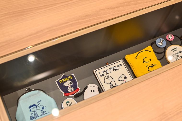 フィギュアのアップ