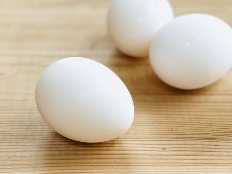 卵が転がっている様子