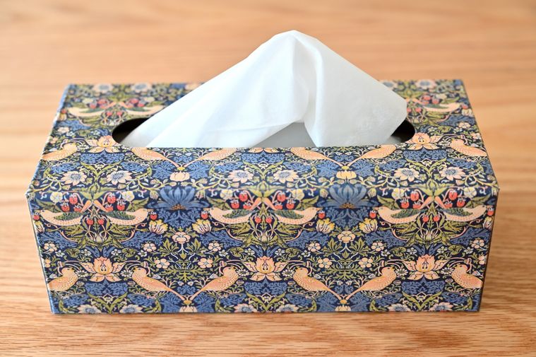 いちご泥棒のデザインが施されたティッシュケース