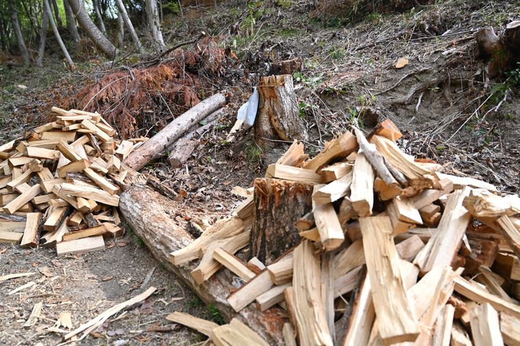 薪が散らかるなかにティッシュケースが置かれている