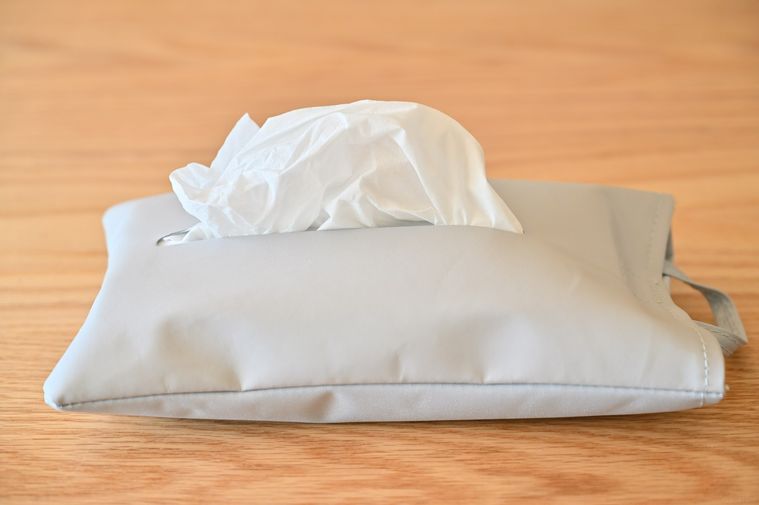 バッグ型のティッシュケースからティッシュを出している