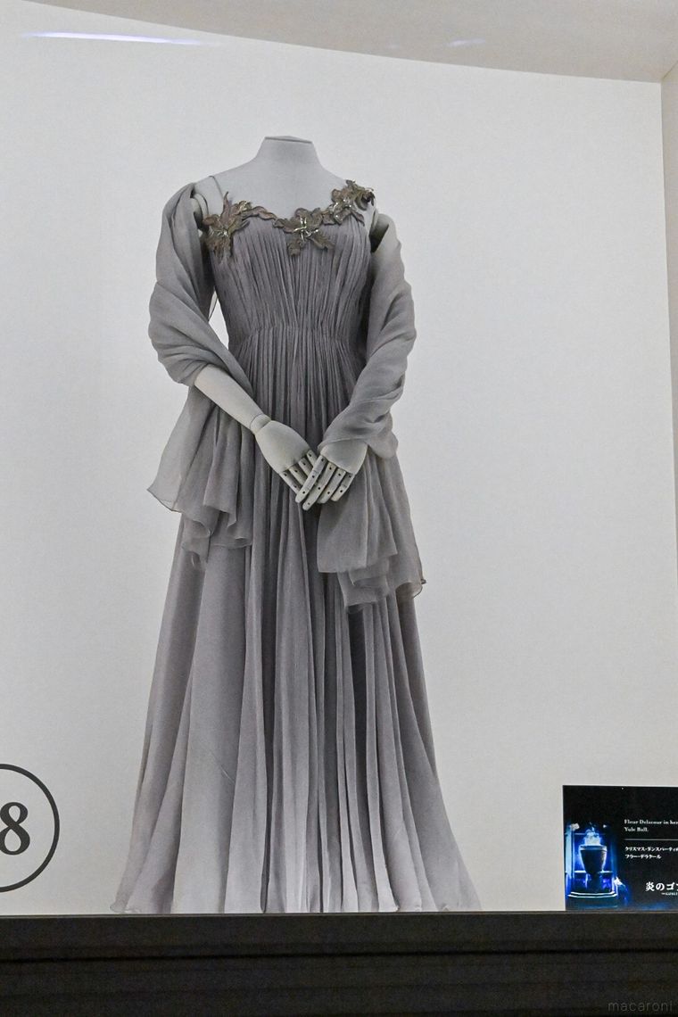 フラーデラクールのドレスのアップ