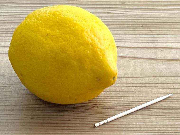 レモンと爪楊枝