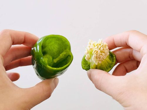 ピーマンの種がスポン！きれいに取る方法に「気持ちがいい」「定番化決定」