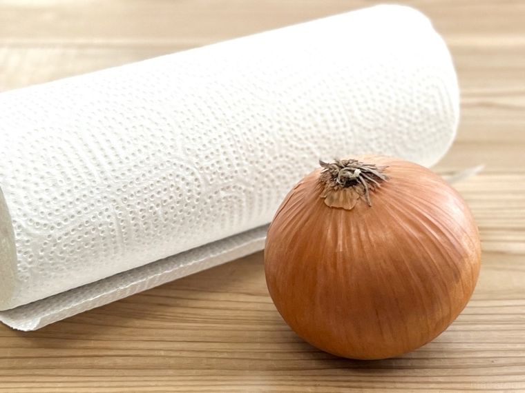 玉ねぎとキッチンペーパー