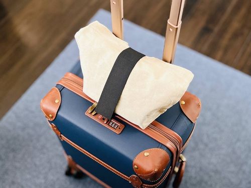 ずり落ちない！スーツケースに手荷物を固定できるダイソー商品に「コスパ最強」