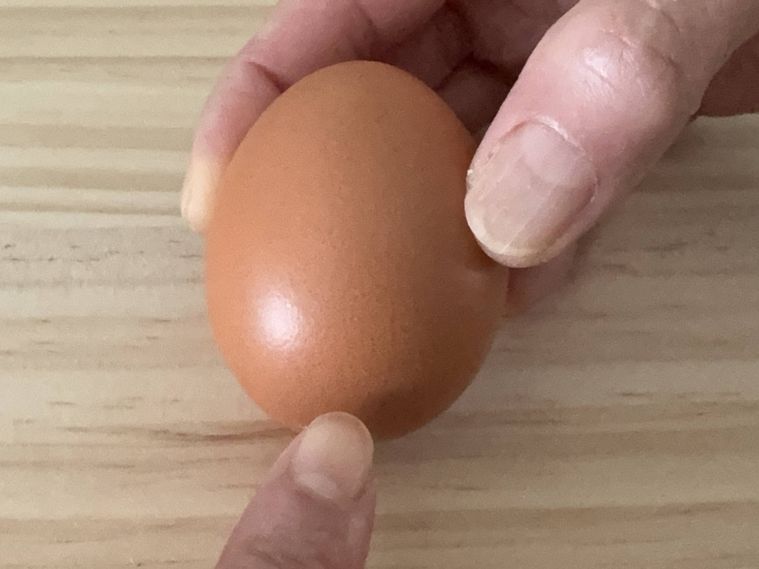 卵の写真