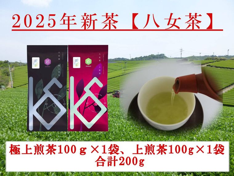 八女茶　新茶極上煎茶と上煎茶セット