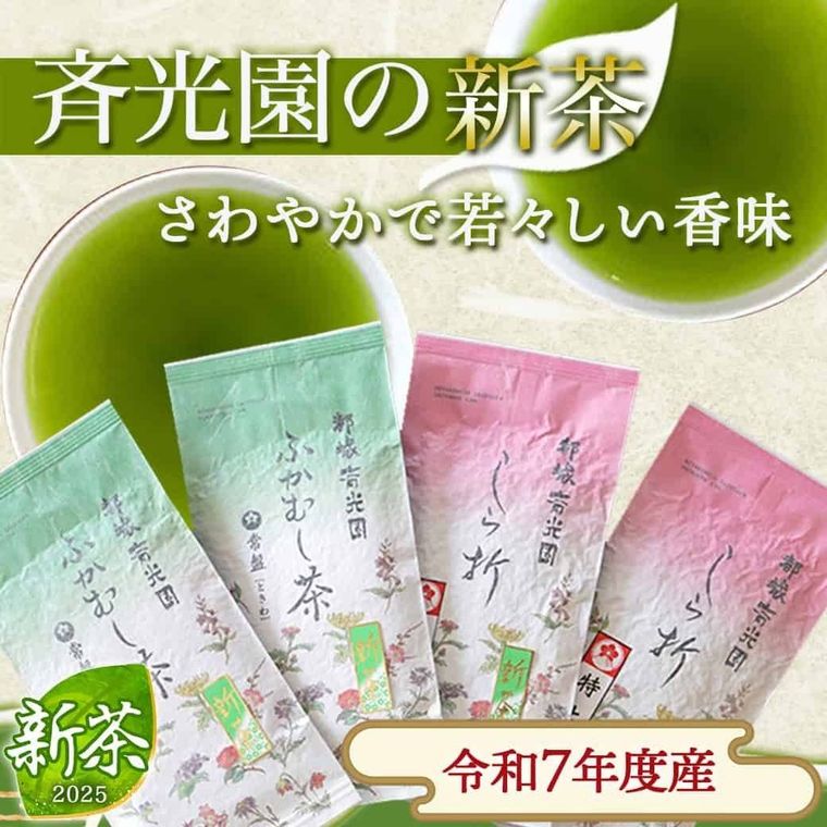 宮崎・都城市 新茶360gセット斉光園