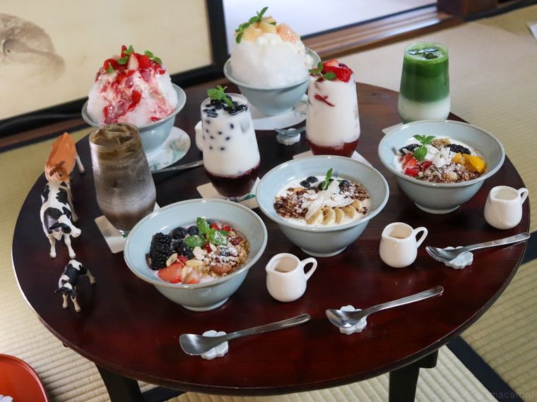 ちゃぶ台の上にカネカTOHAKU茶館で提供される限定メニューが並んでいる