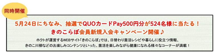 キャンペーン詳細