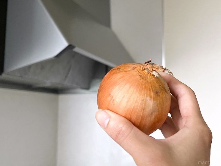 玉ねぎを手で持っている様子