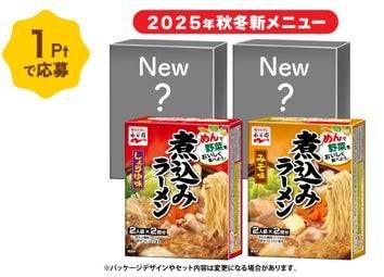 煮込みラーメン