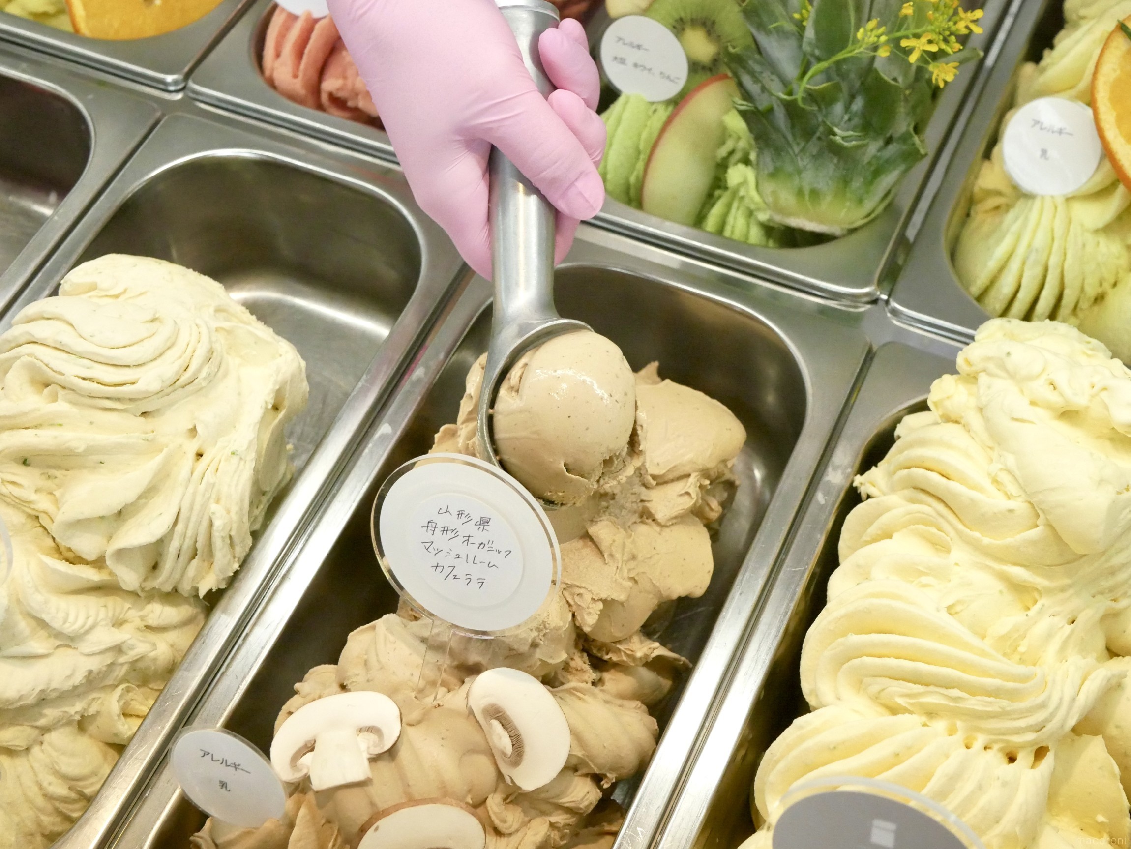 Hpr7Ovk0pgt9CGnTjuy71bIV6aioWE