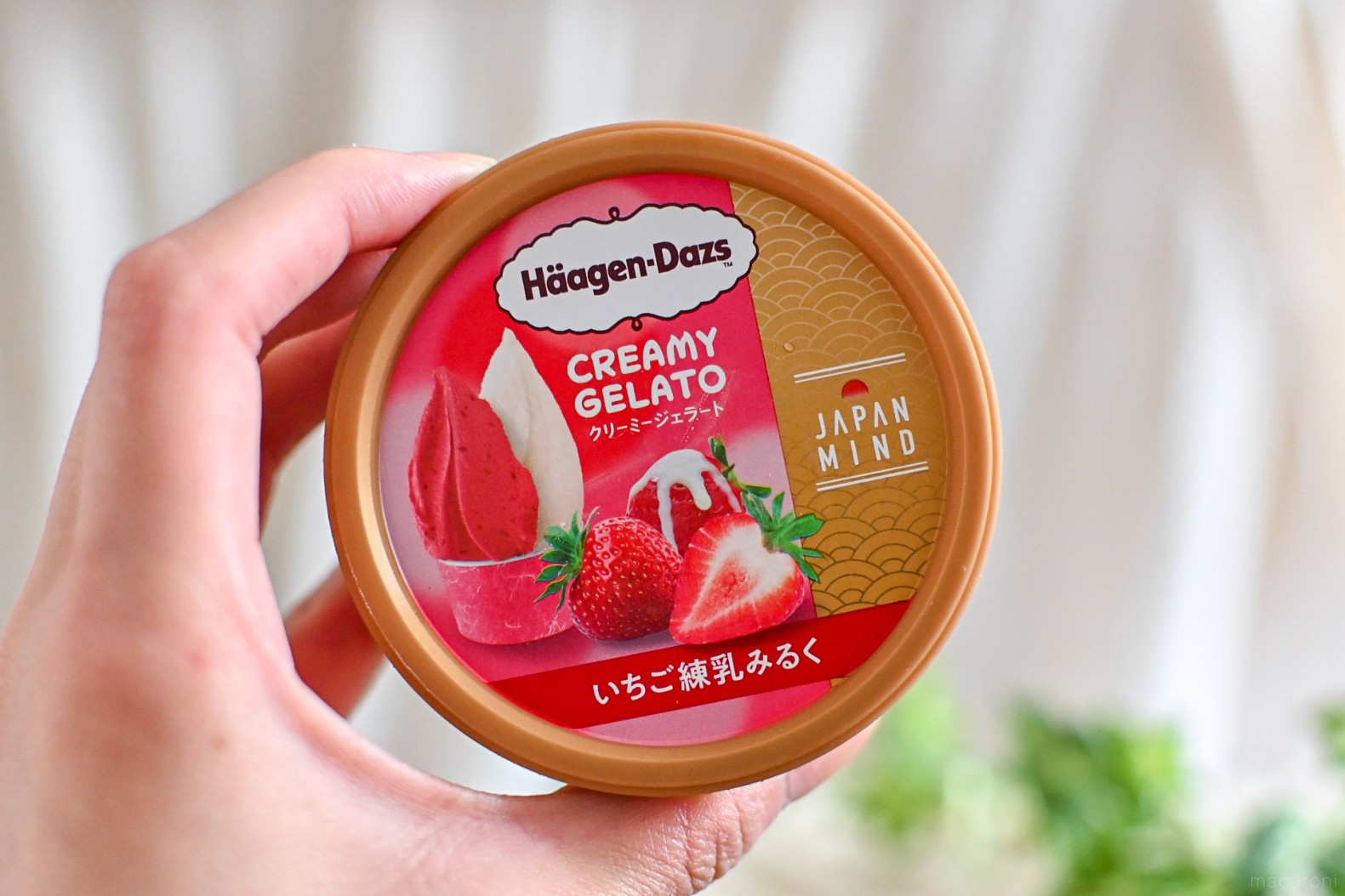 ハーゲンダッツ「JAPAN MIND（ジャパン マインド）」始動。 日本を