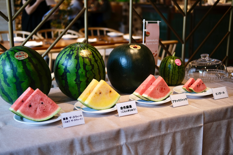 熊本春スイカが並んだ様子