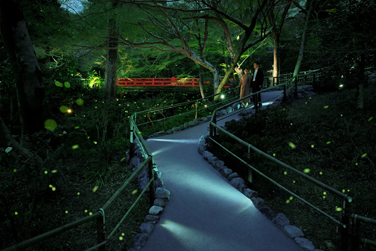 ほたるのイメージ