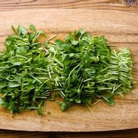 作り方 豆苗とちくわのマヨネーズサラダ