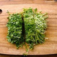 作り方 豆苗の胡麻和え