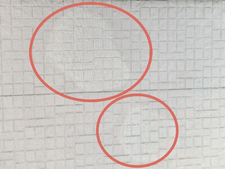 網戸にシミが付いた様子