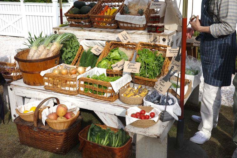 オーガニック野菜