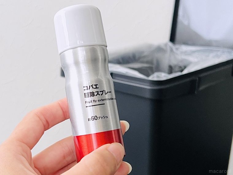 コバエ駆除スプレーを手で持っている様子