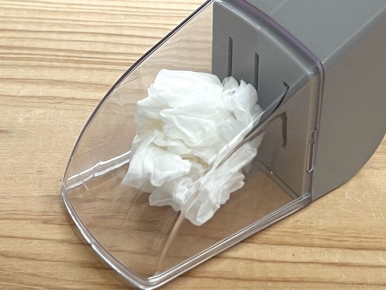 バグキャッチャーを使っている様子