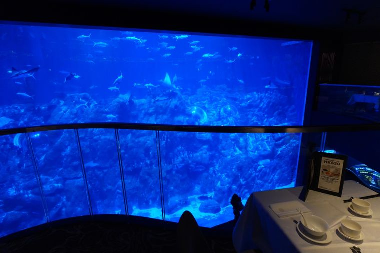 レストランの内観