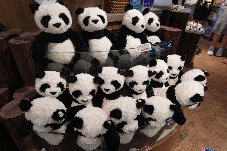 パンダのぬいぐるみ