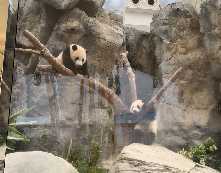 ジャージエとシーラオ