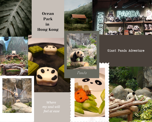 香港を旅するなら一度は訪れたい。双子の赤ちゃんパンダに会える「香港