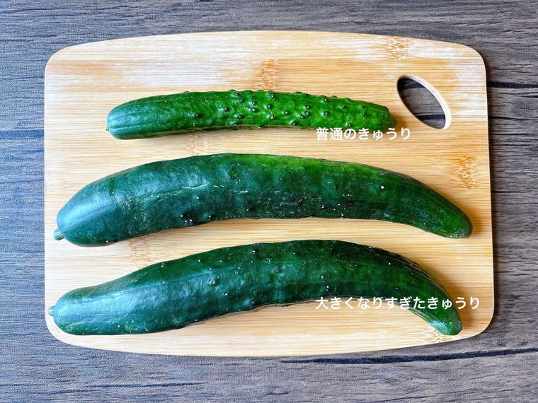 普通のきゅうりと大きくなりすぎたきゅうり