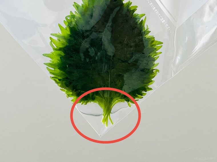 水が入ったジッパー付き保存袋に大葉を入れた様子