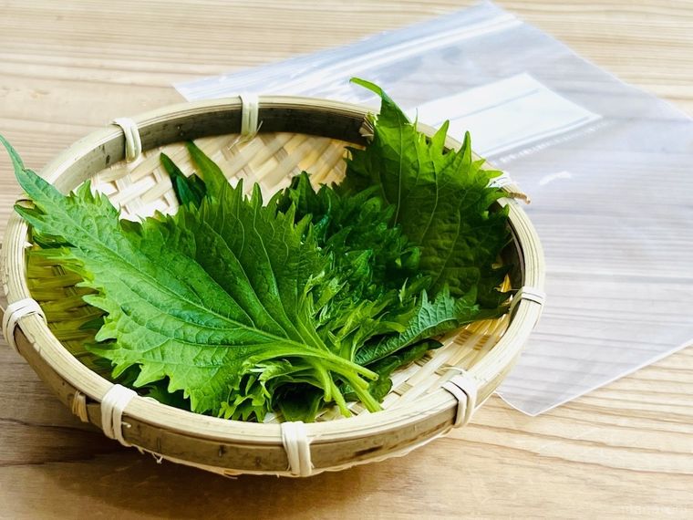 大葉とジッパー付き保存袋