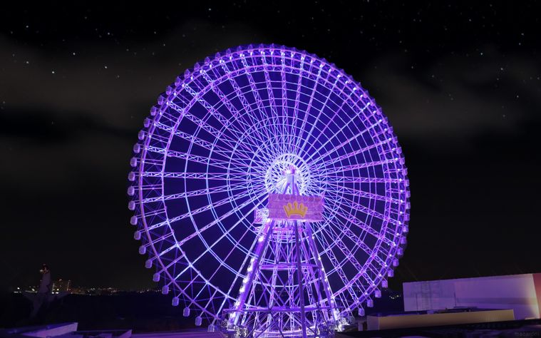 紅茶花伝 ムムム紫の大観覧車