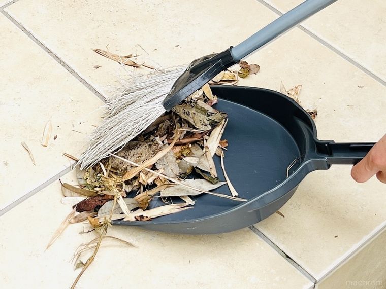 ちりとりとほうきで落ち葉を掃除している様子