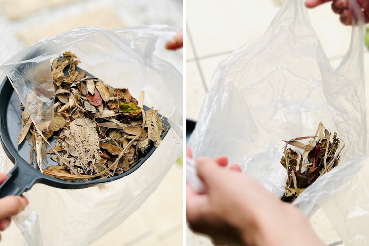 袋に落ち葉を入れている様子と入れ終わった様子