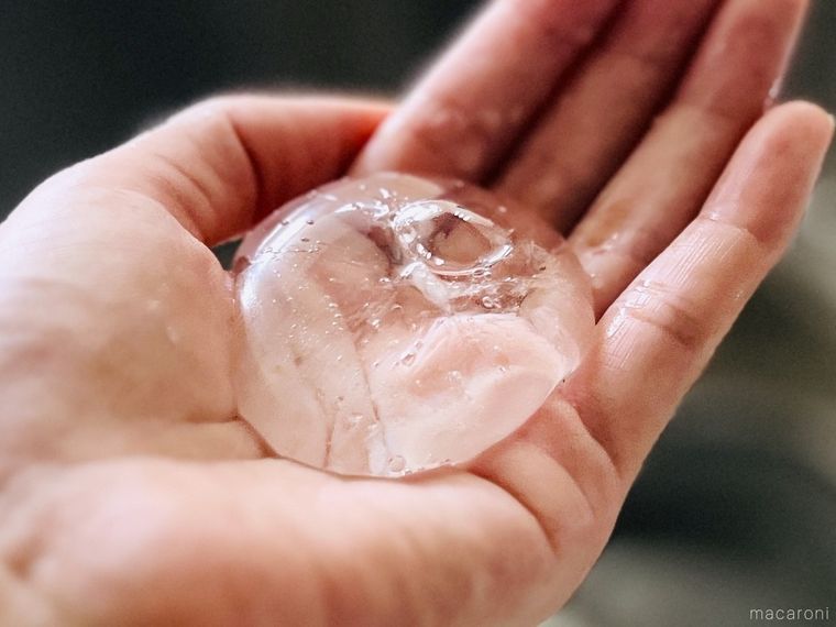 トラバルーンで作った「つかめるお水」を手のひらにのせている様子
