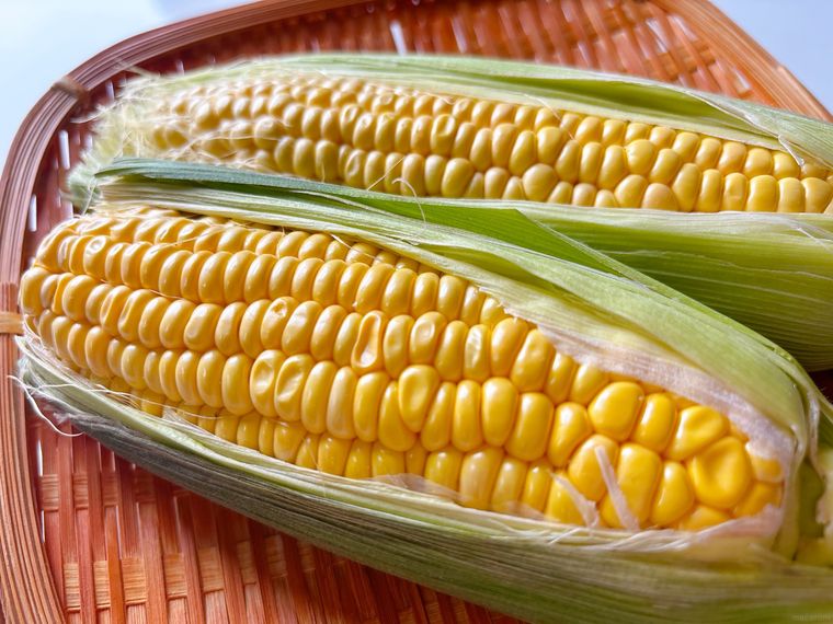ザルに盛られたしわがよったとうもろこし