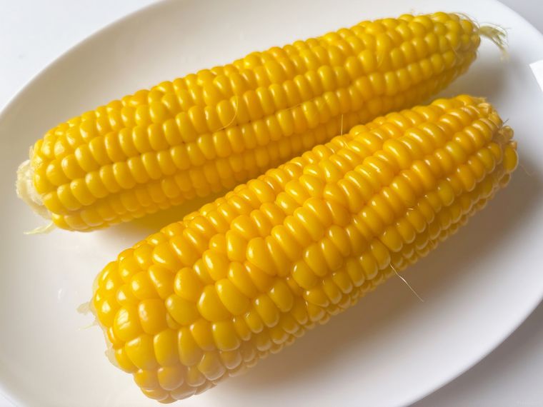 白色の楕円の皿に盛られたゆでたとうもろこし