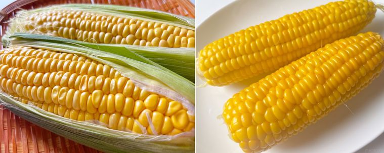 しわしわのとうもろこしとゆでて復活したとうもろこし