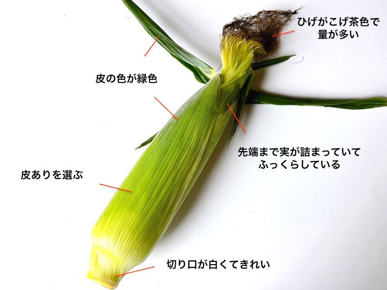 とうもろこしに選び方のポイントを加工した写真