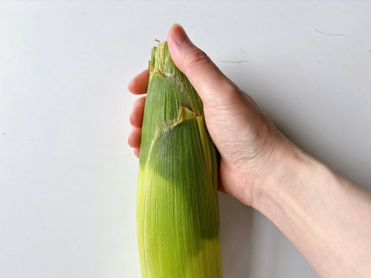 とうもろこしの先端をやさしく握って、実の詰まり具合を確認している写真