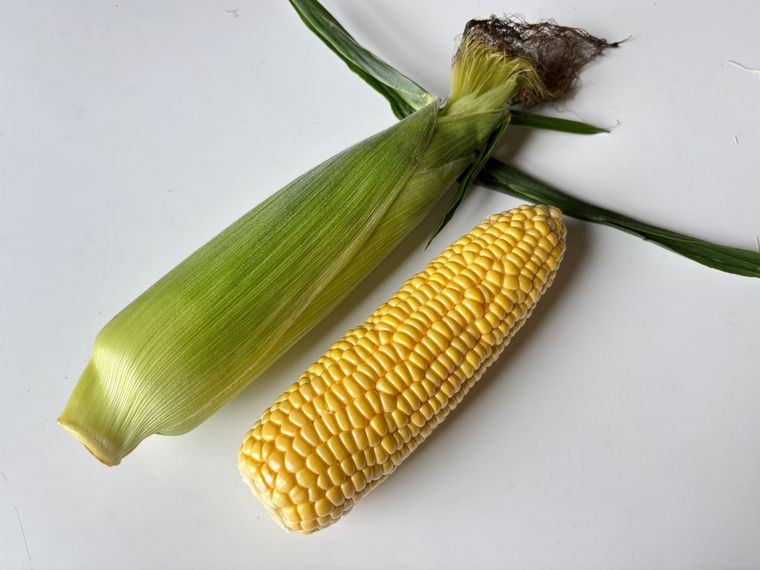 とうもろこしの皮なしと皮ありをならべた写真
