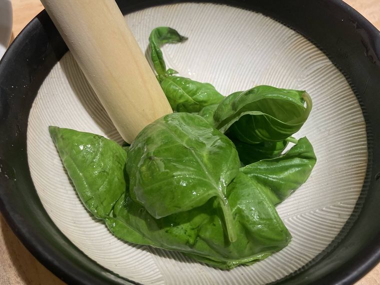 擦りたてフレッシュバジルのジェノベーゼ