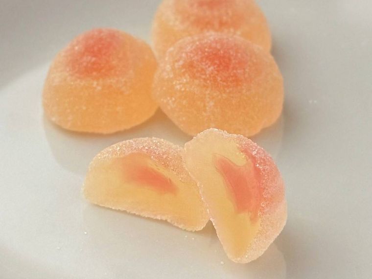 グミの進化論 大福杏仁豆腐の断面