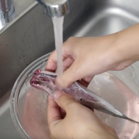 作り方 いわしの捌き方手開き