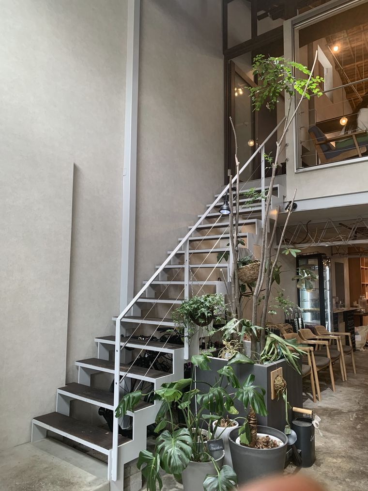 吹き抜けで2階建てのシマトネリコ 路地裏コーヒーロースター内観