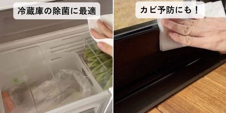 パストリーゼで冷蔵庫内の掃除